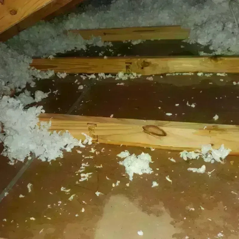 Attic Water Damage in Eagle, WI